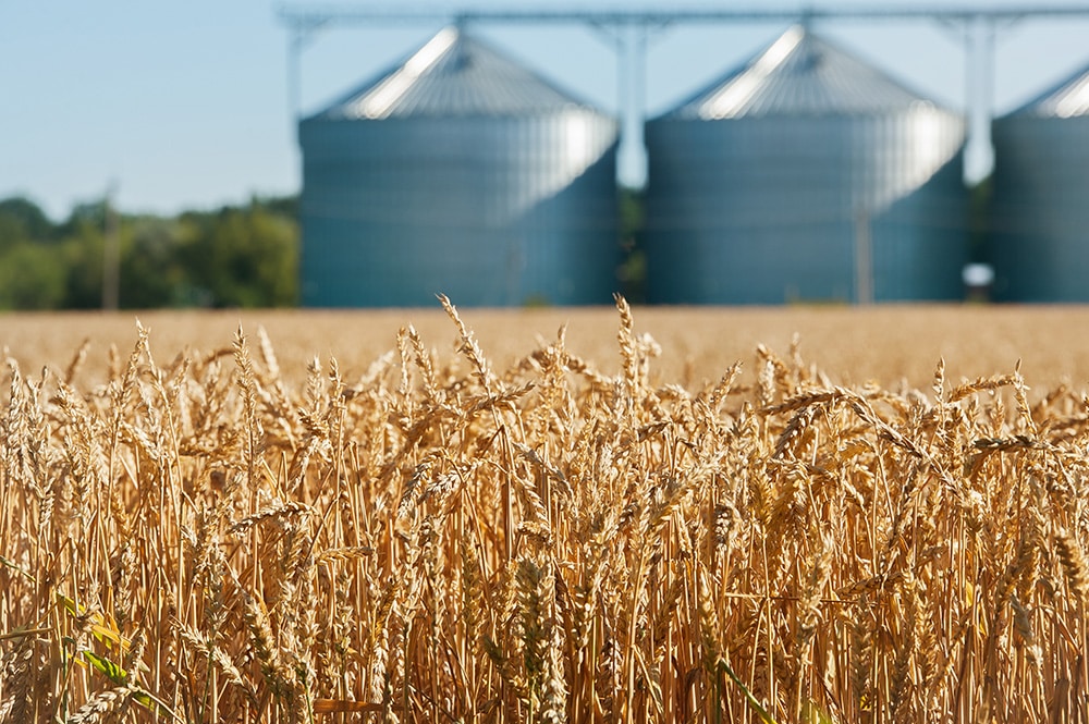 Maintenance agricole Notre-Dame-du-Bon-Conseil