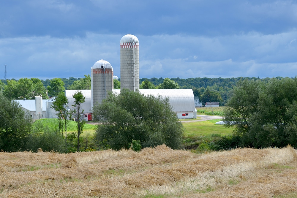 Réparation moteurs séchoir à grain